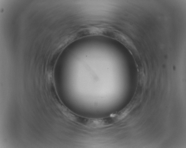 X0000067950329200604272106