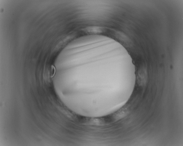 X0000067950330200604272106