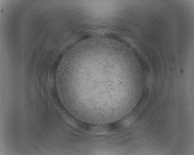 X0000067950331200604272106