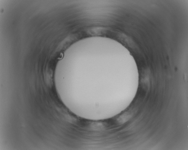 X0000067950332200604272106