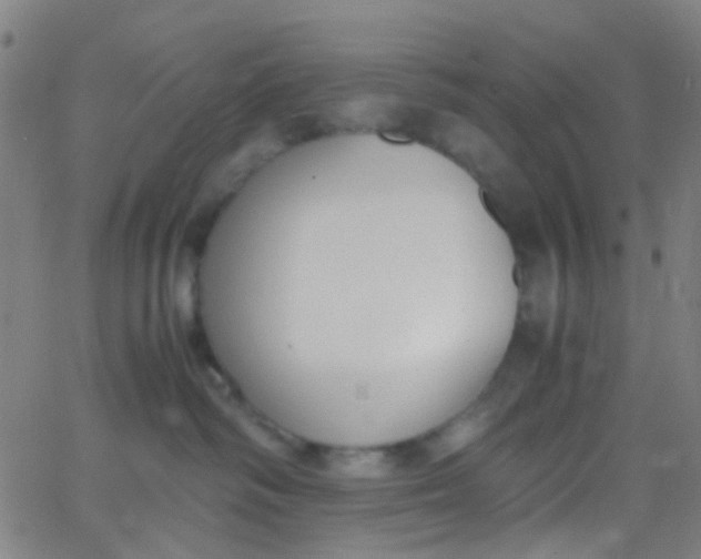 X0000067950334200604272105