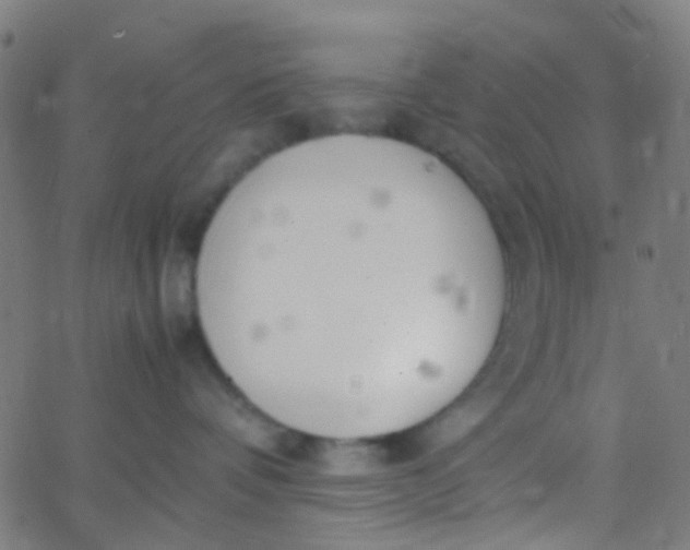 X0000067950336200604272105