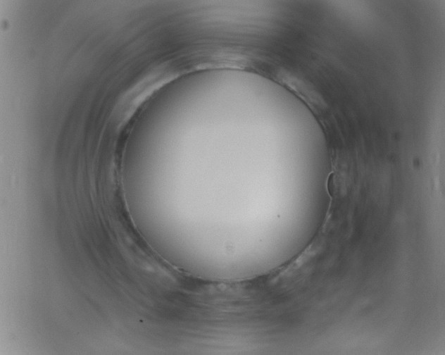 X0000067950338200604272105