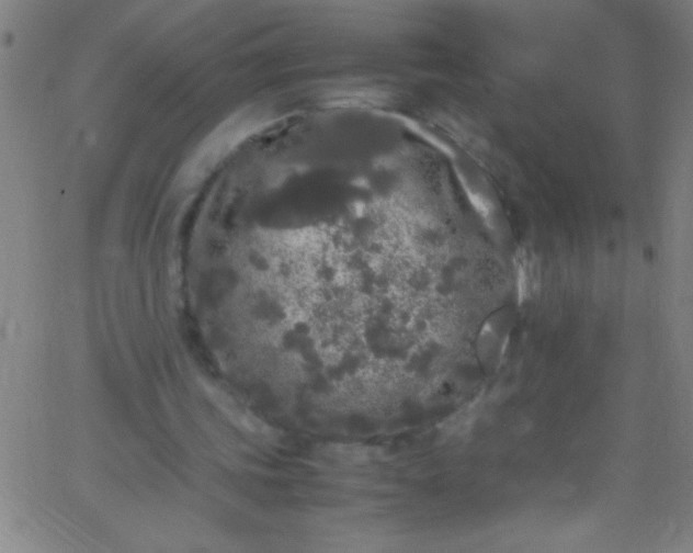 X0000067950339200604272105