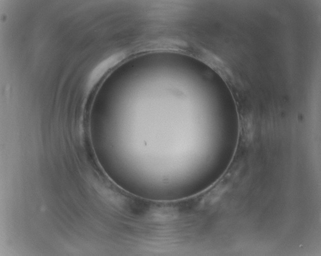 X0000067950340200604272105