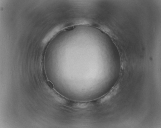 X0000067950341200604272105