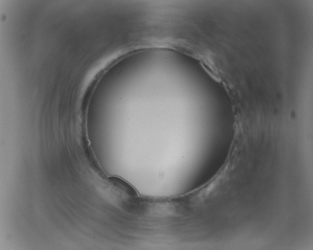 X0000067950342200604272105