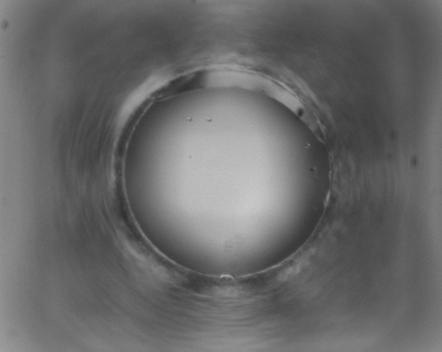 X0000067950344200604272105