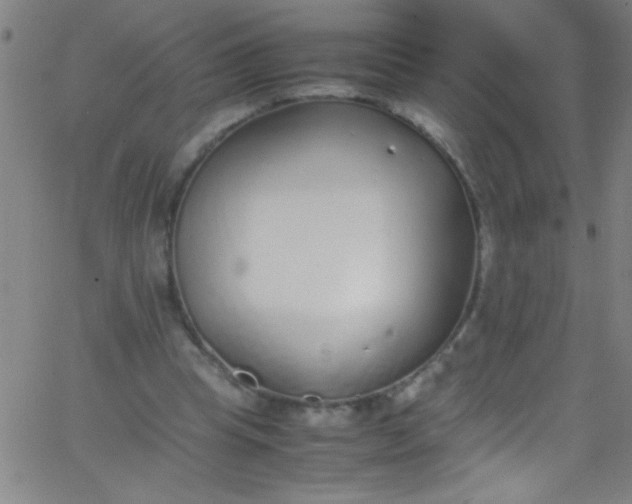 X0000067950345200604272105