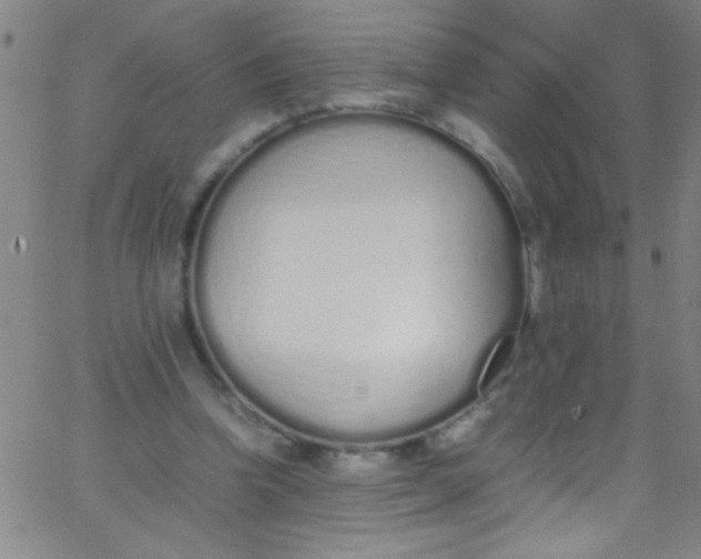 X0000067950346200604272105