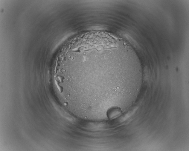 X0000067950351200604272105