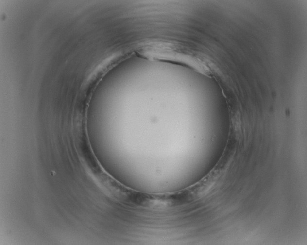 X0000067950352200604272105