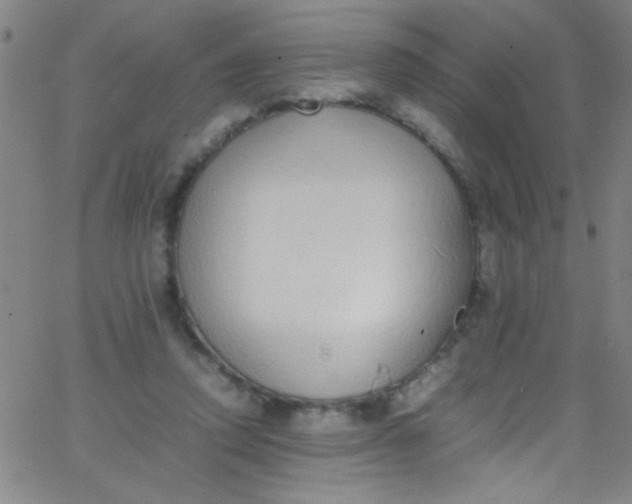 X0000067950354200604272105