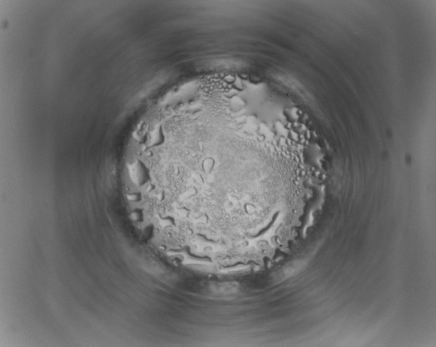 X0000067950355200604272105