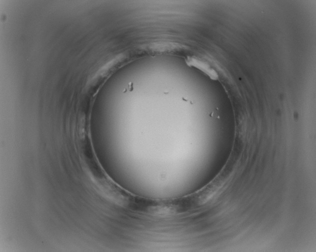 X0000067950356200604272105