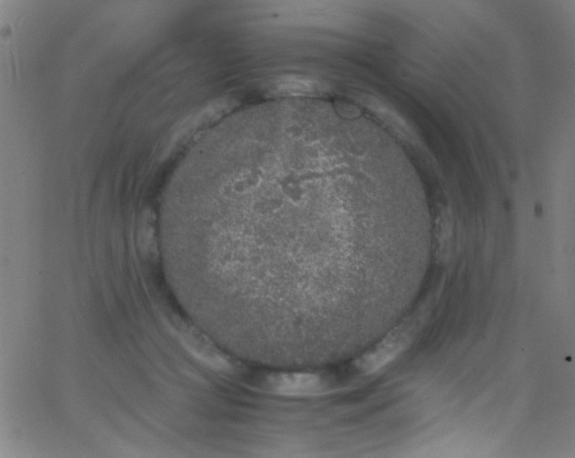 X0000067950361200604272105