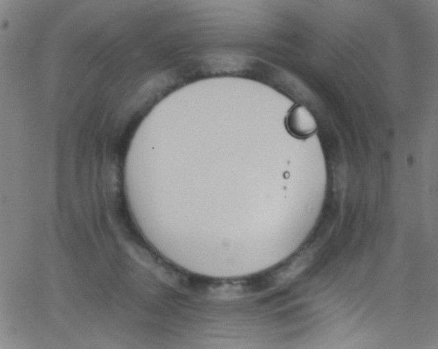 X0000067950362200604272105