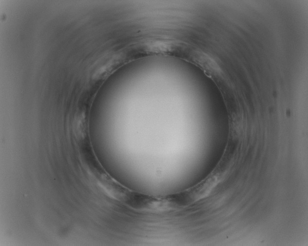 X0000067950364200604272105