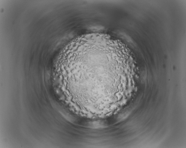 X0000067950365200604272105