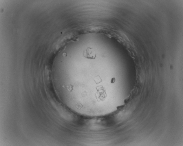 X0000067950366200604272105