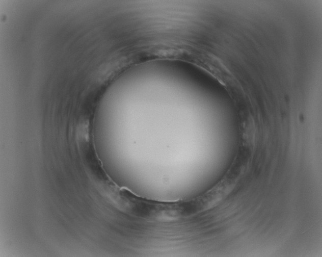 X0000067950368200604272105