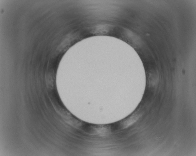 X0000067950370200604272105