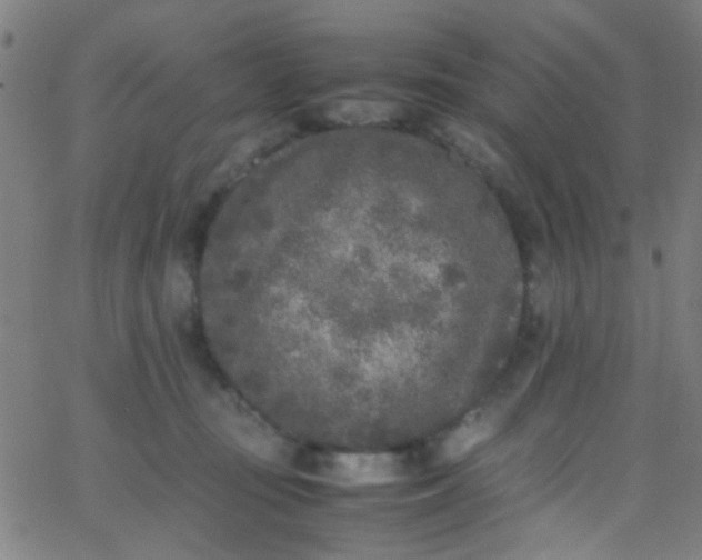 X0000067950371200604272105