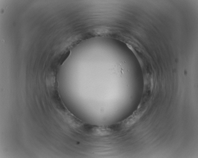 X0000067950372200604272105