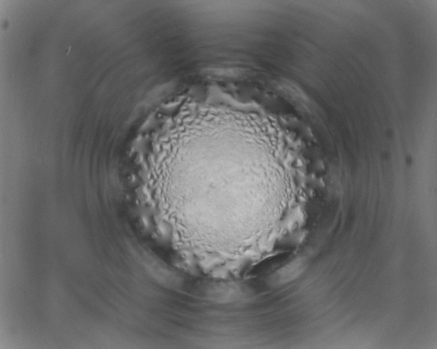 X0000067950377200604272105