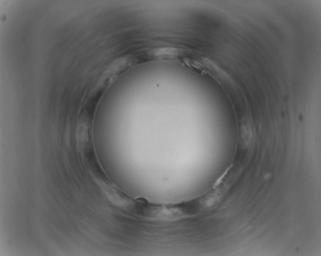 X0000067950379200604272105