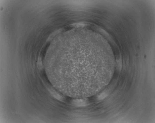 X0000067950381200604272105