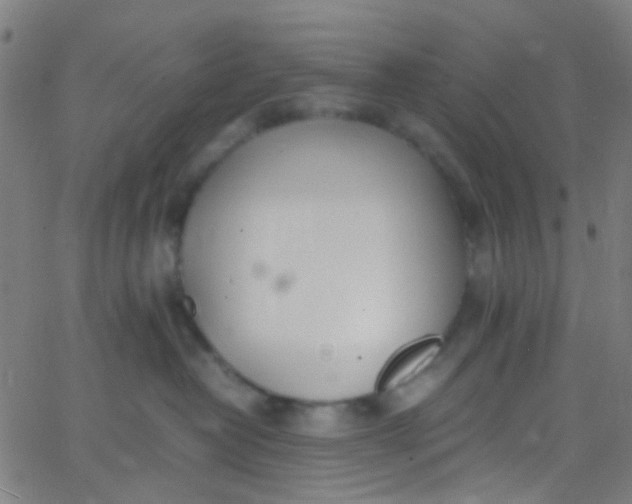 X0000067950382200604272105