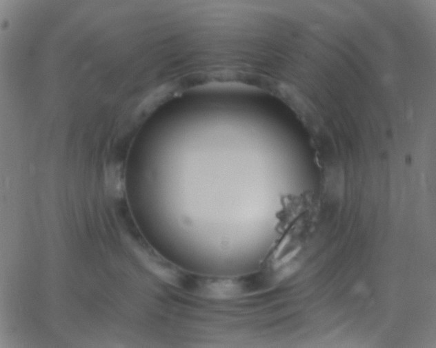 X0000067950383200604272105