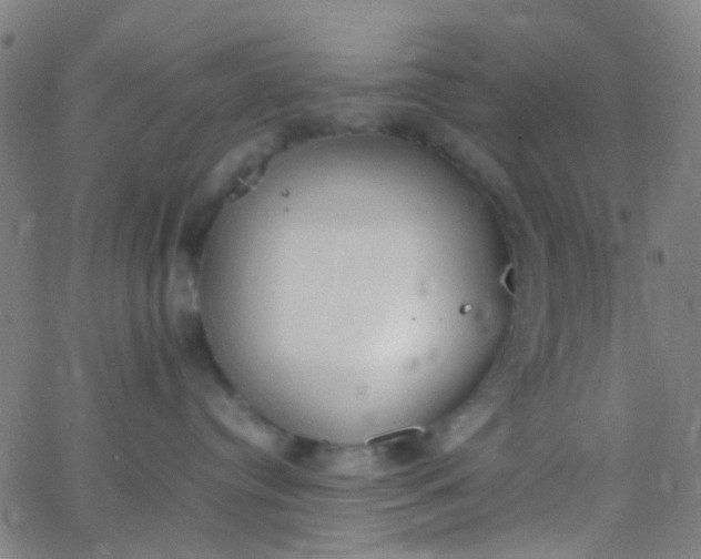 X0000067950384200604272105