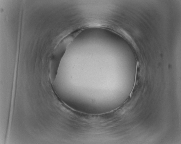 X0000067950385200604272105