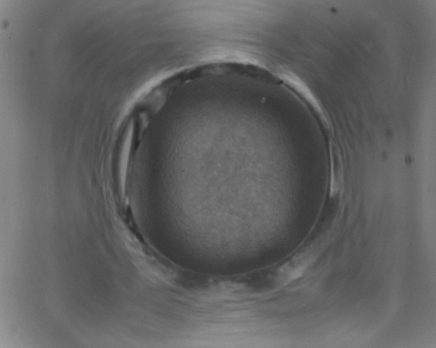 X0000067950387200604272105