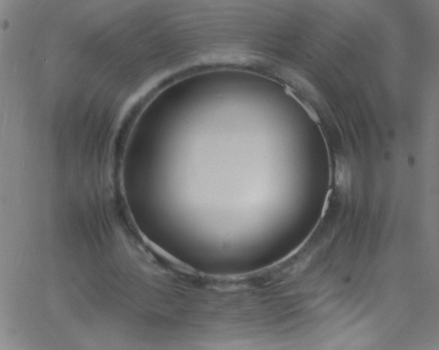 X0000067950388200604272105