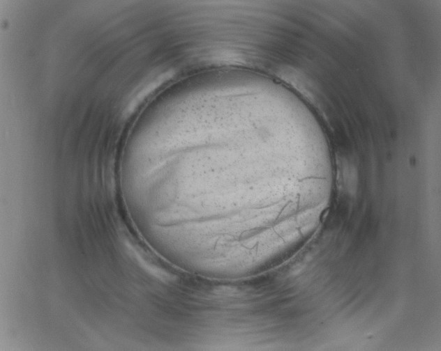 X0000067950390200604272105