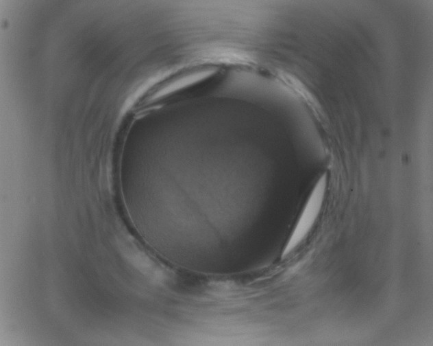 X0000067950391200604272105