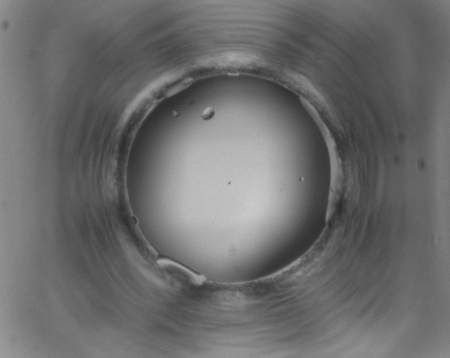 X0000067950392200604272105