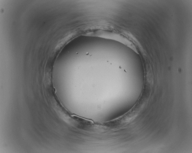 X0000067950393200604272105