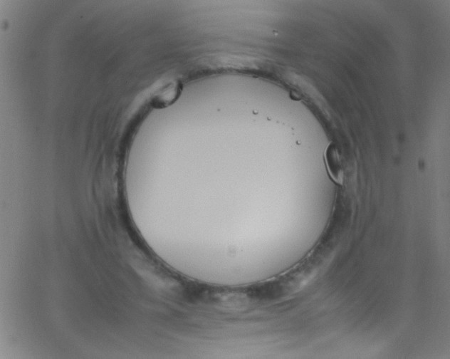 X0000067950395200604272104