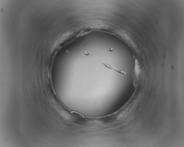 X0000067950397200604272104