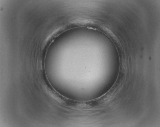 X0000067950399200604272104