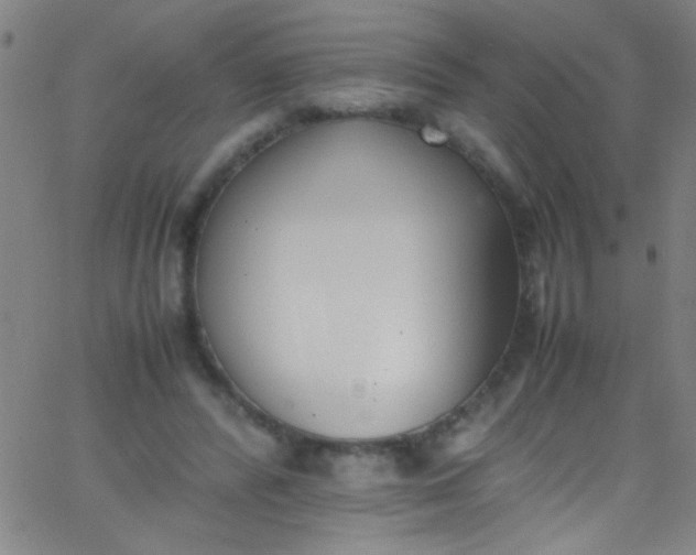 X0000067950400200604272104