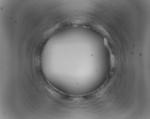 X0000067950401200604272104