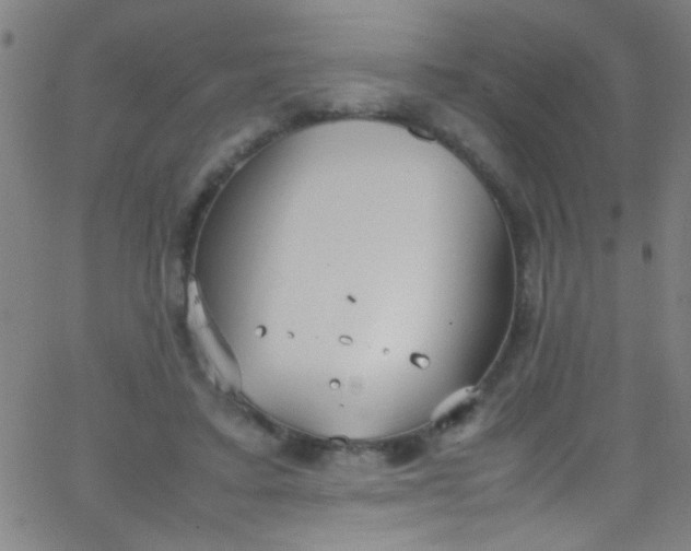 X0000067950403200604272104