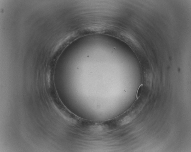 X0000067950404200604272104