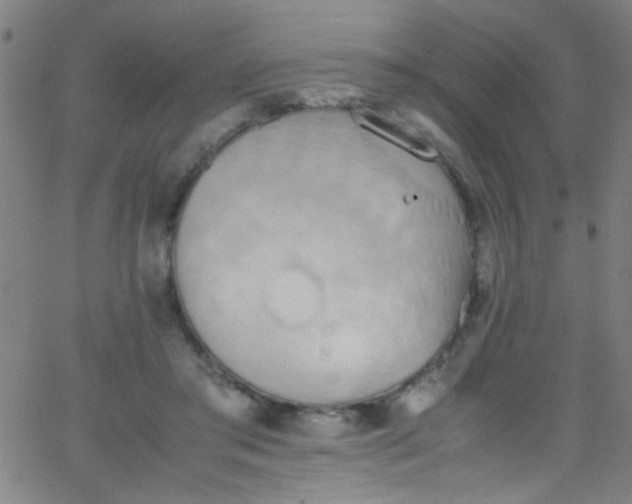 X0000067950405200604272104