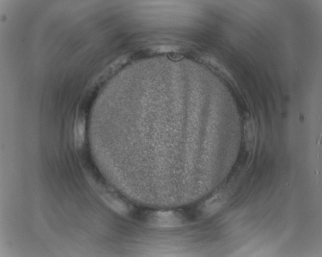 X0000067950406200604272104